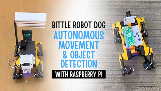 Bittle Robot Dog Autonomous Movement Object Detection with Raspberry Pi