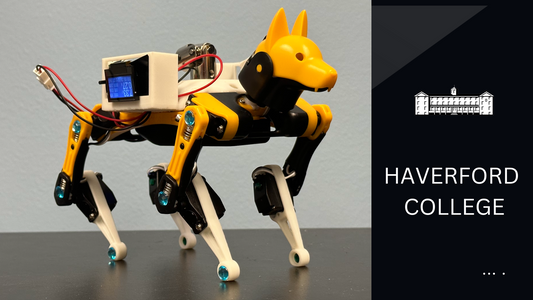 Robotics Research With Bittle Robot Dog Adapting to Different Surfaces at The Haverford College