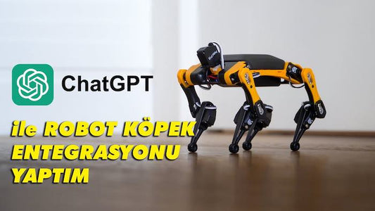 Talk to Bittle Open Source Robot Dog with ChatGPT