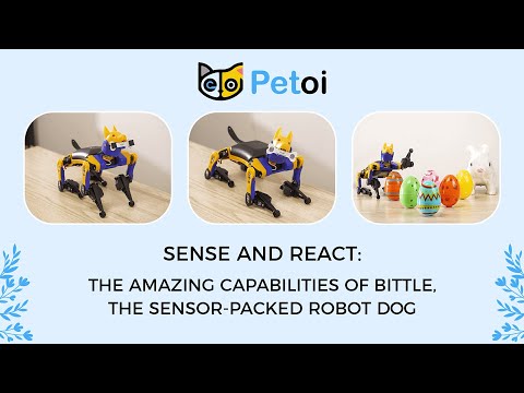 Petoi Bittle Programmable & Raspberry PI Robot Dog - Open Source ...